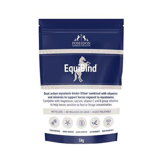 Poseidon - EquiBind
