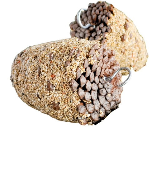 Forage Gourmet Pinecone