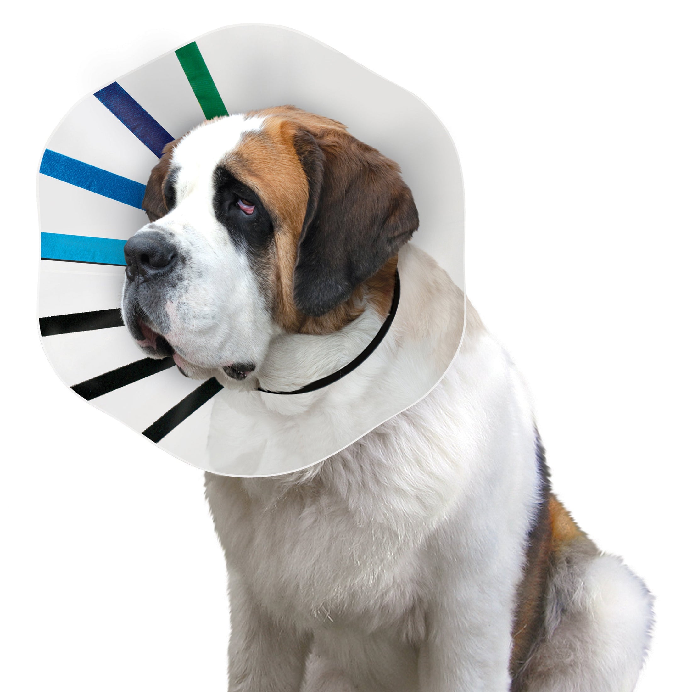 Kong - EZ Clear Collar