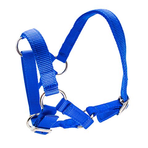 bainbridge-alpaca-halter - gallery_0