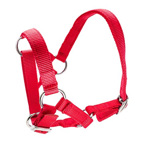 bainbridge-alpaca-halter - gallery_1