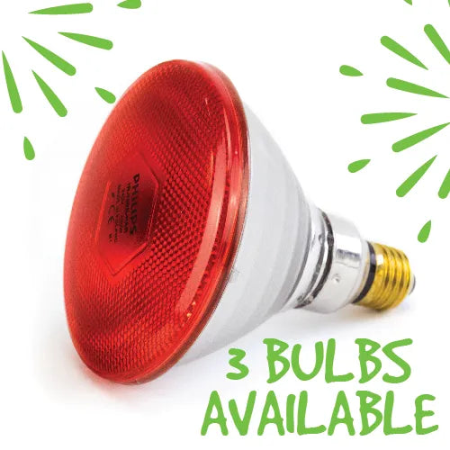 Phillips - Infrared Heat Lamp Bulb