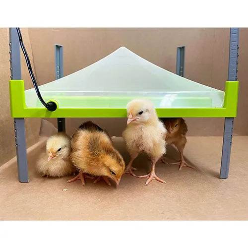 Chick Heating Plate Cover