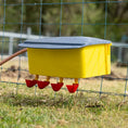 Load image into Gallery viewer, Bainbridge - Automatic Poultry Waterer
