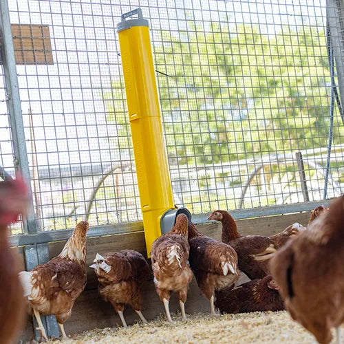 Bainbridge - Chook Feeder Tower Extension