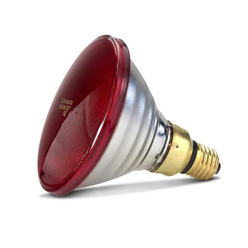 Bainbridge - Infrared Heat Lamp Bulb