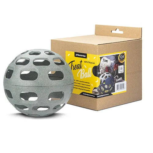 Bainbridge Chicken Play Ground Treat Ball