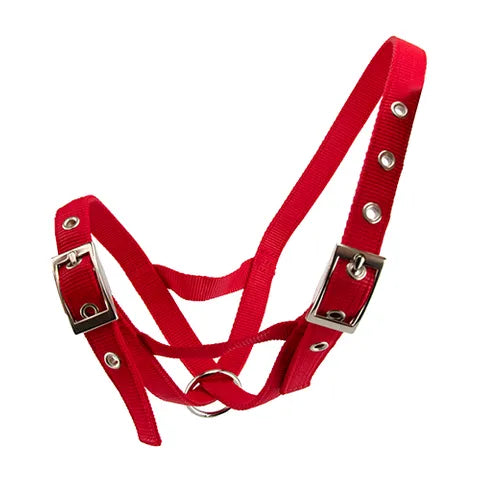 Webbed Cattle Halter