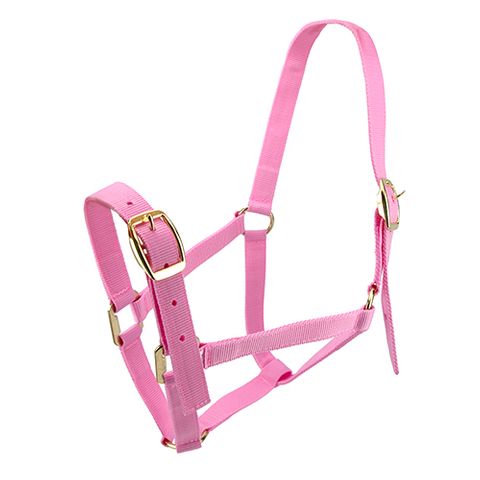bainbridge-horse-halter-pony - gallery_0