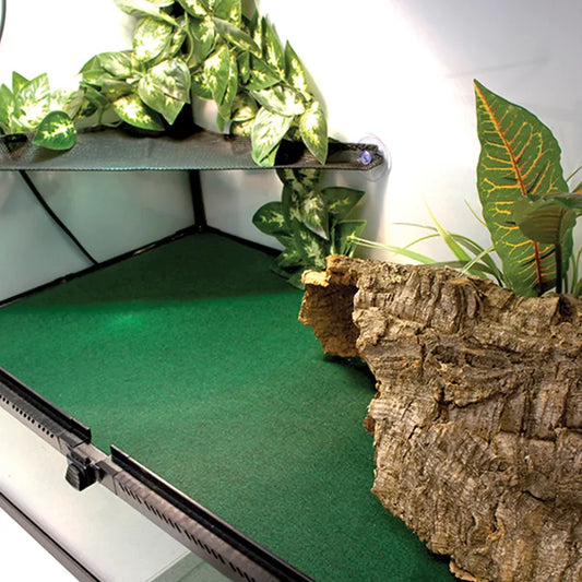 Komodo Reptile Carpet 120X60cm