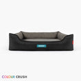 Load image into Gallery viewer, EzyDog - 2in1 Ortho Smart Bed - front view with name label
