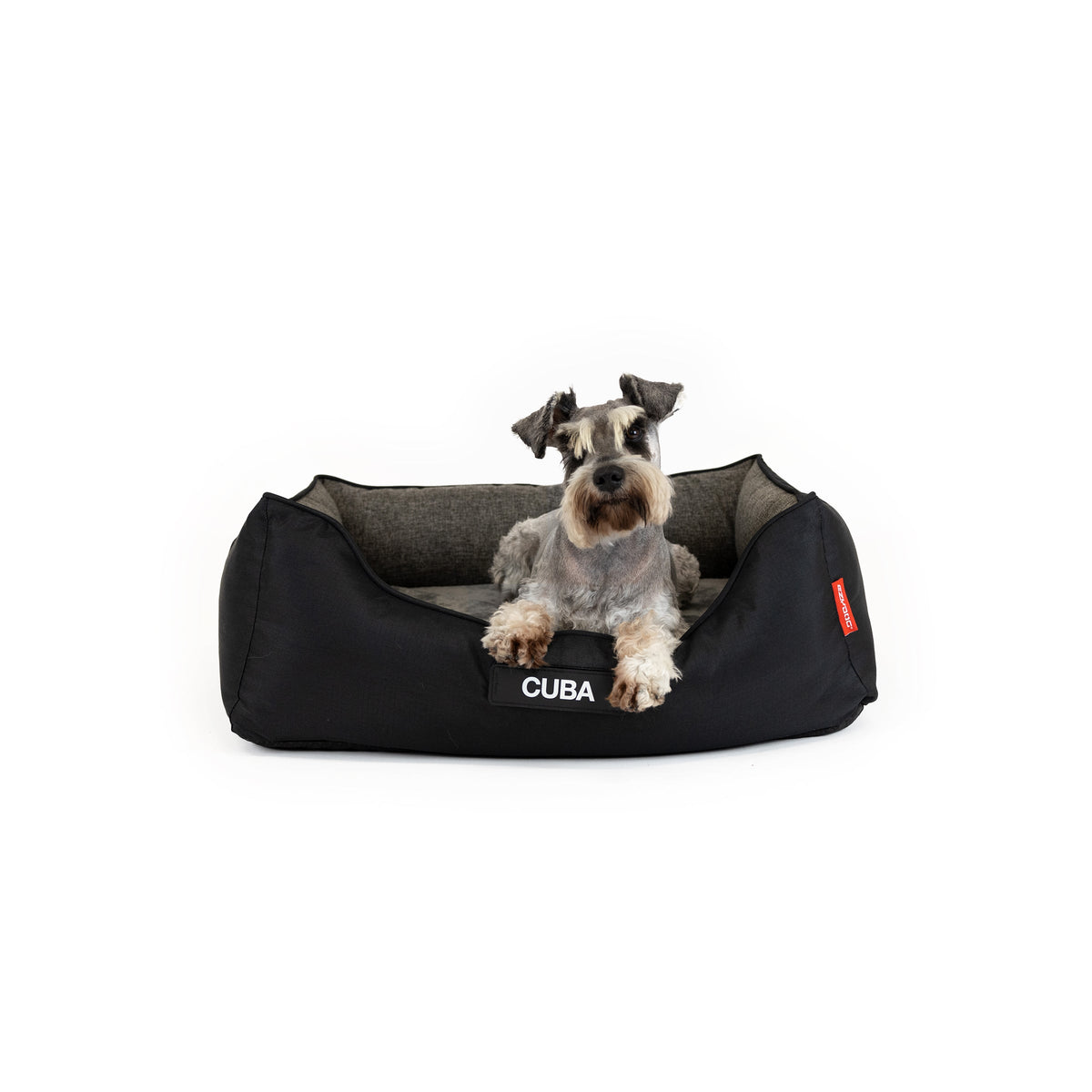 EzyDog - 2in1 Ortho Smart Bed - dog lying on the size M bed