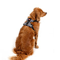 Load image into Gallery viewer, EzyDog - X-Link Harness
