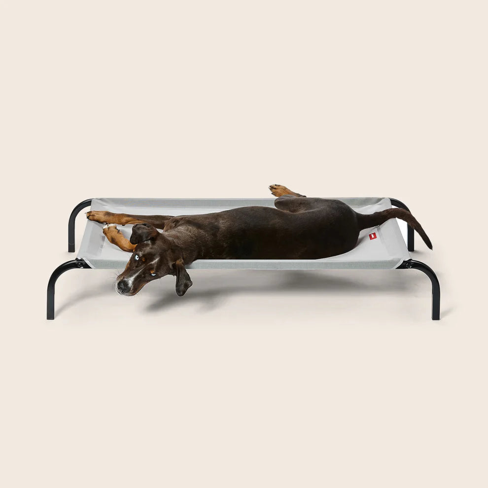 Snooza - Flea-Free Dog Bed Grey/Black