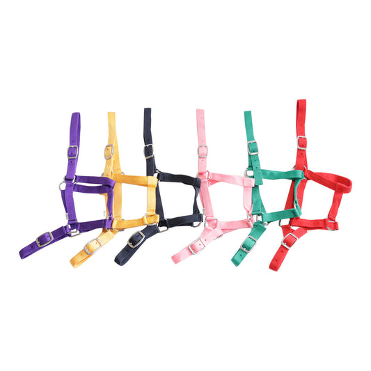 Eureka - Buckle Halter Pink / Full