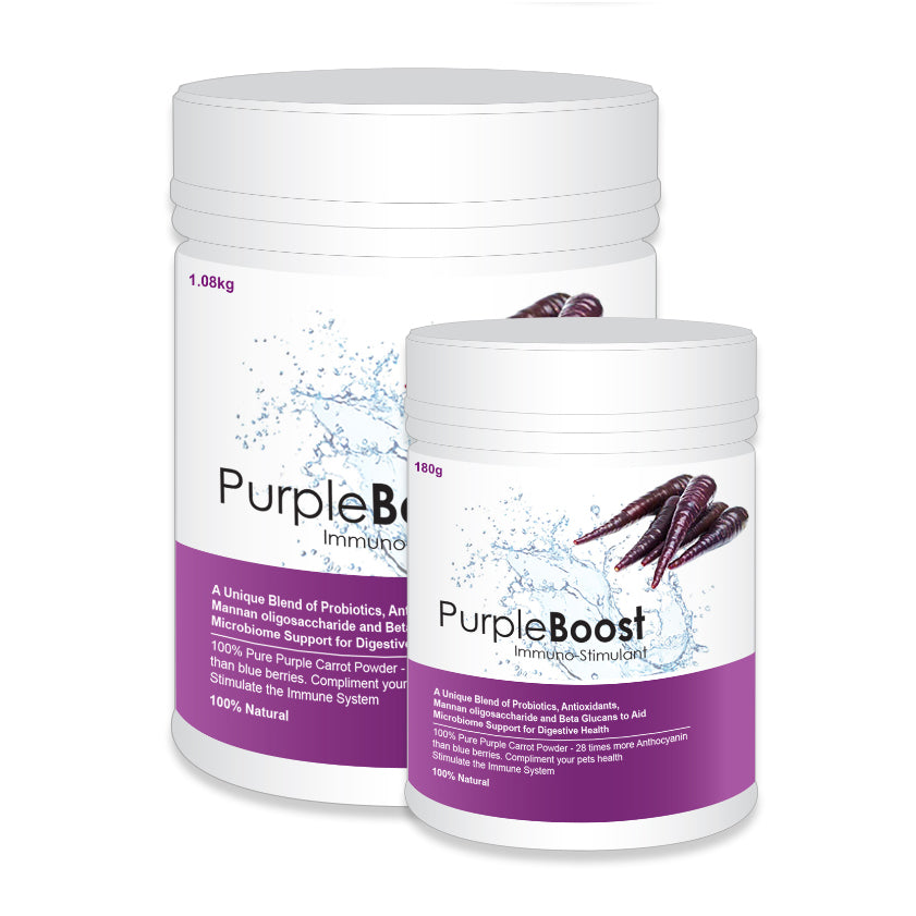 Lifewise Purple Boost Small