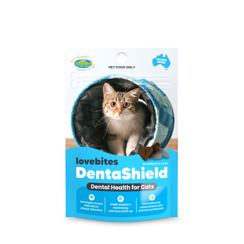 Lovebites DentaShield for Cats