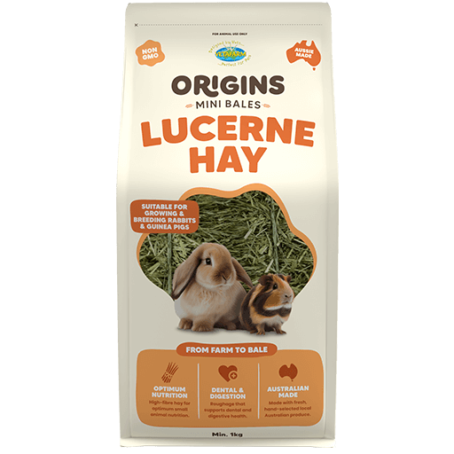 Origins Lucerne Hay Mini Bale