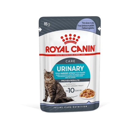 Royal Canin Urinary Care Jelly 12x85g Wet Cat Food