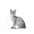 Load image into Gallery viewer, Royal Canin Indoor Sterilised Adult 12x85g Wet Cat Food
