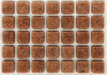 Load image into Gallery viewer, Fish Fuel Community Food 110g
