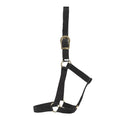 Load image into Gallery viewer, gg-australia-stable-halter - gallery_0
