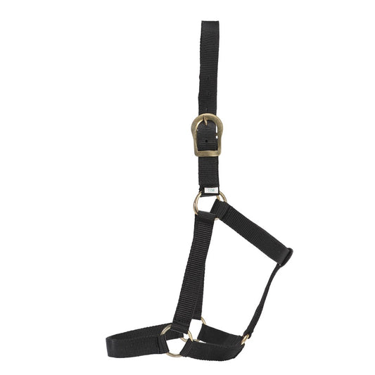 gg-australia-stable-halter - gallery_0