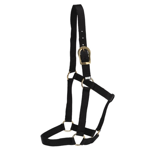 gg-australia-stable-halter - gallery_1