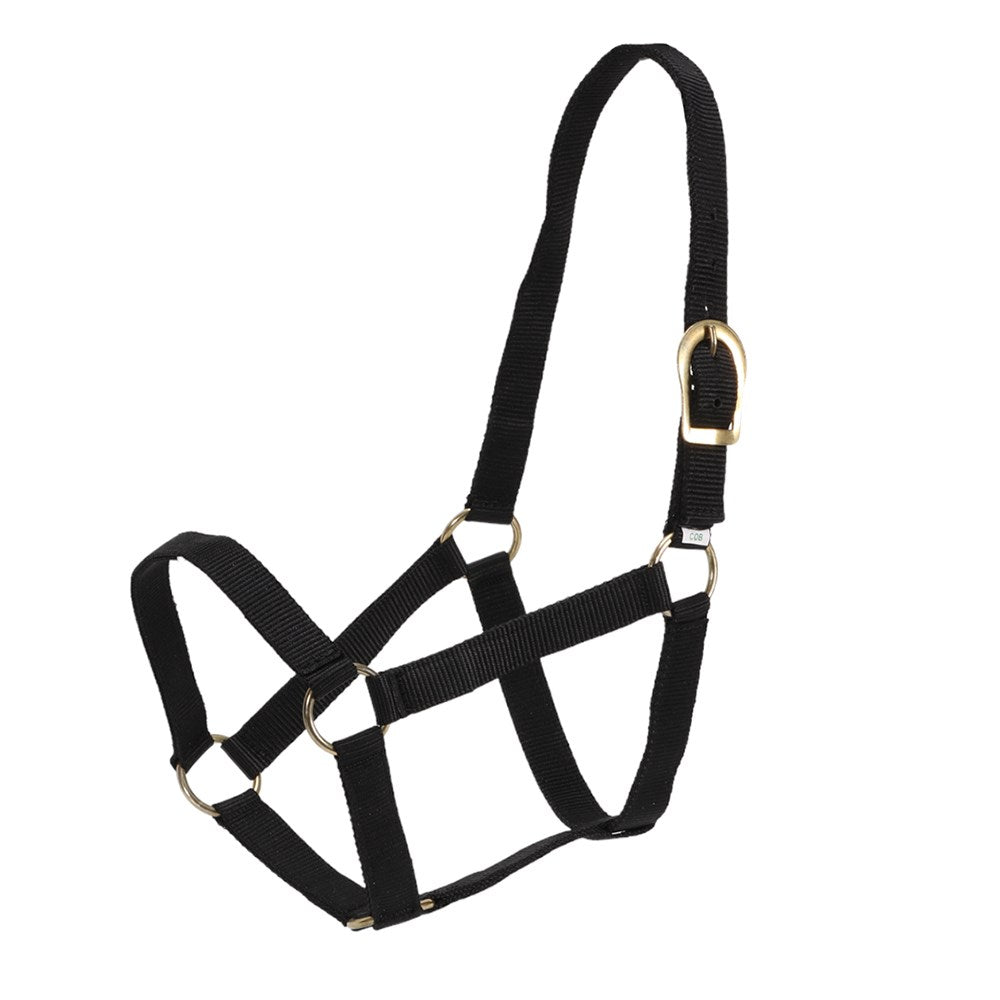 gg-australia-stable-halter - gallery_2