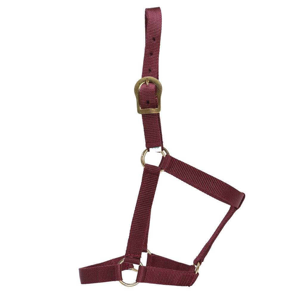 gg-australia-stable-halter - gallery_3