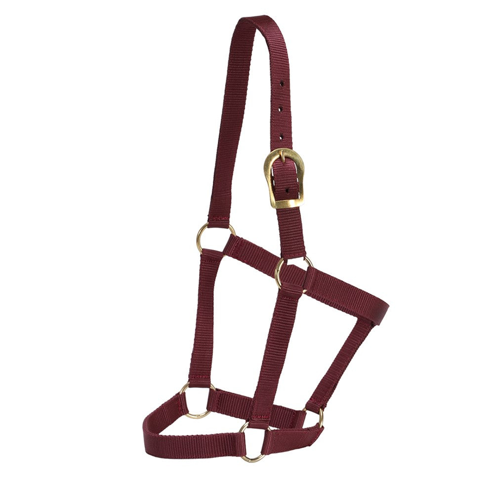 gg-australia-stable-halter - gallery_4