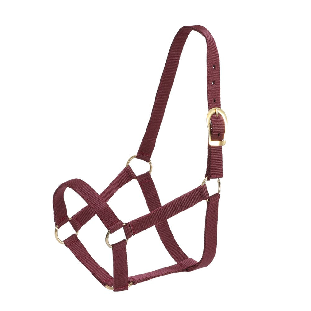 gg-australia-stable-halter - gallery_5