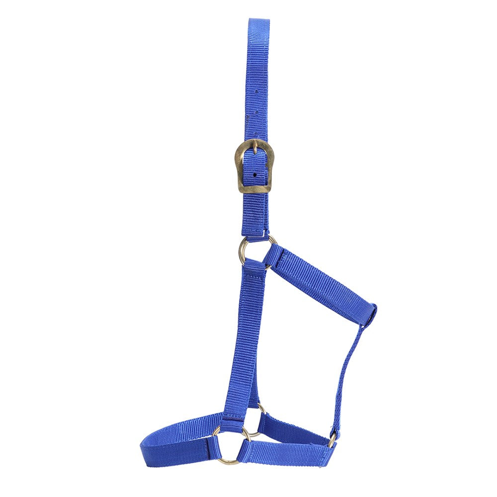 gg-australia-stable-halter - gallery_6