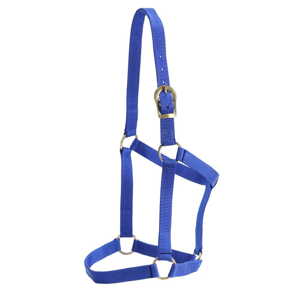 gg-australia-stable-halter - gallery_7