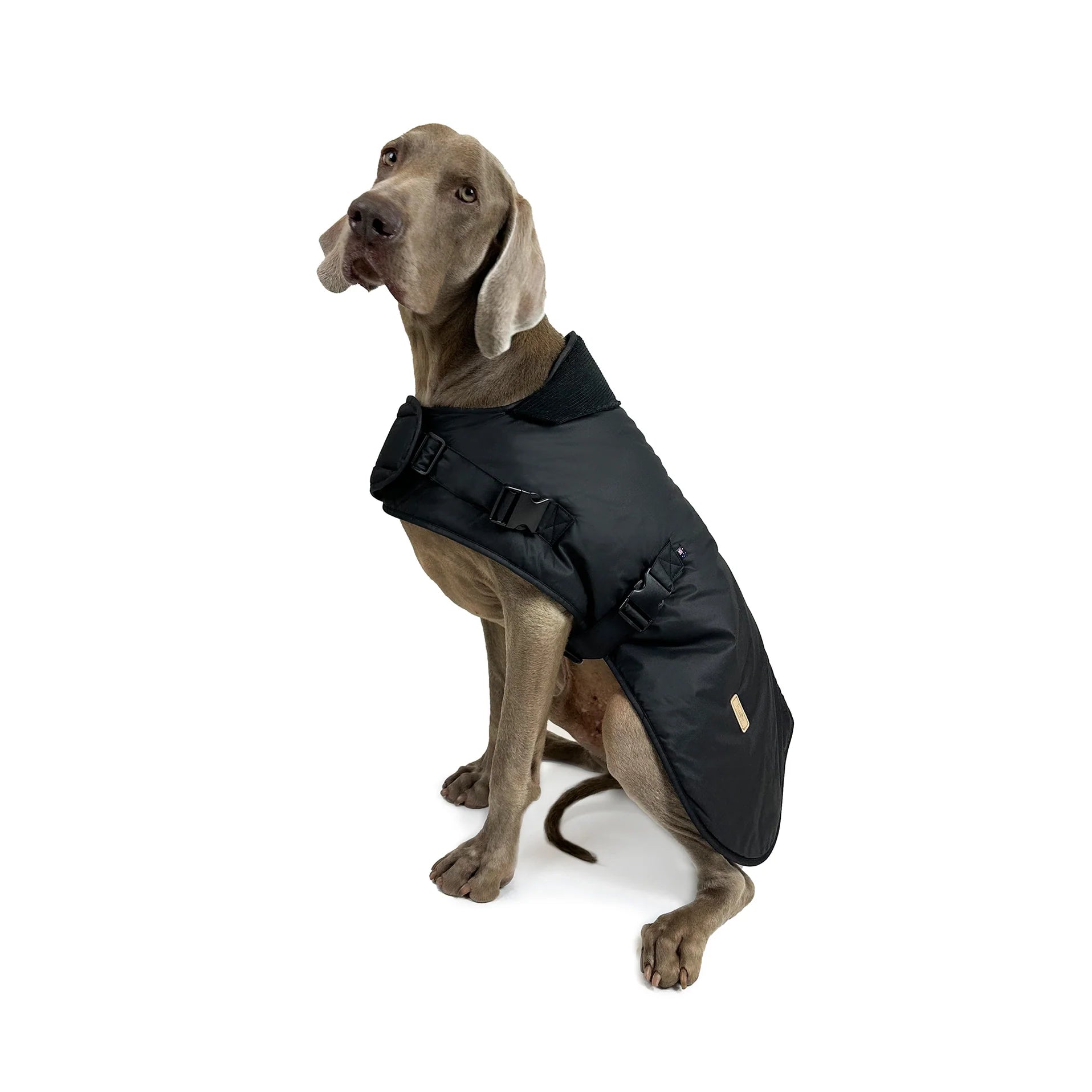 Huskimo Waxed Cotton (Natural Oilskin) Dog Coat - Thunder