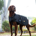 Load image into Gallery viewer, Huskimo Waxed Cotton (Natural Oilskin) Dog Coat - Thunder
