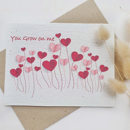 Heart cards - Bottlebrush