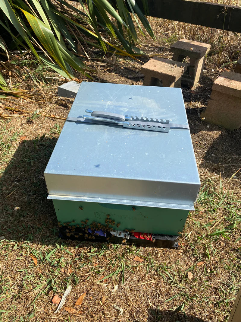 Galvanised Hive Strap- Complete