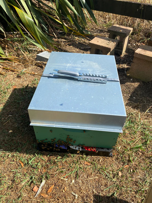 Galvanised Hive Strap- Complete