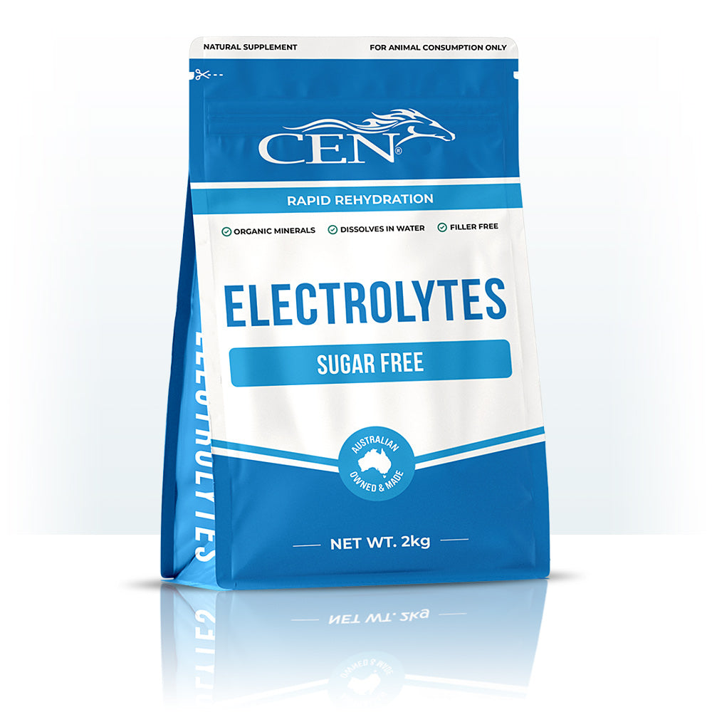 CEN Horse Electrolytes Supplement 5kg