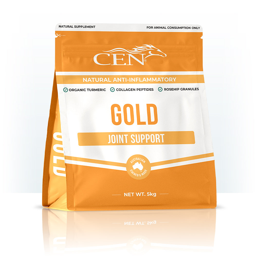 CEN Gold Horse Joint Supplement