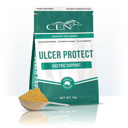 CEN Ulcer Protect Horse Supplement