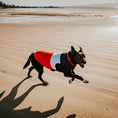 Load image into Gallery viewer, huskimo-dog-coat-mt-buller-navy-red - gallery_0
