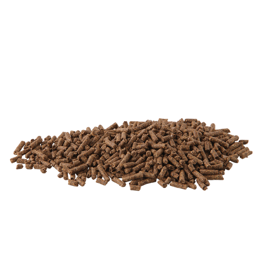 Hygain Balanced 20kg – pellet close-up
