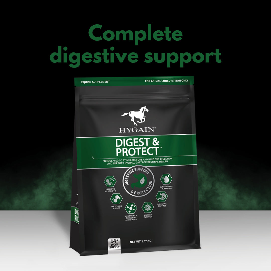 Hygain Digest & Protect – key benefits