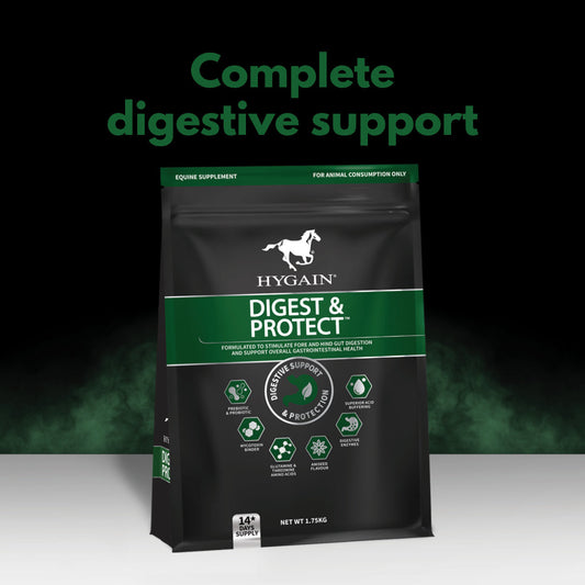 Hygain Digest & Protect – key benefits