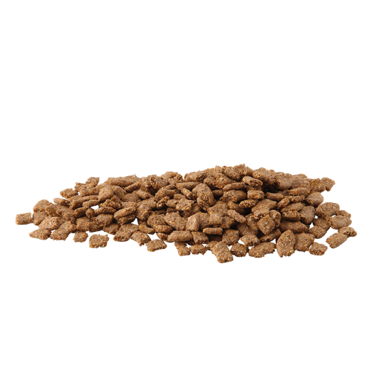 Hygain Fibressential 20kg – pellet close-up