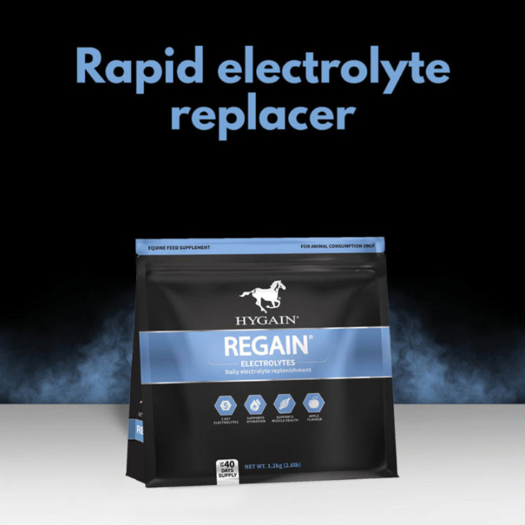 Hygain Regain – key benefits