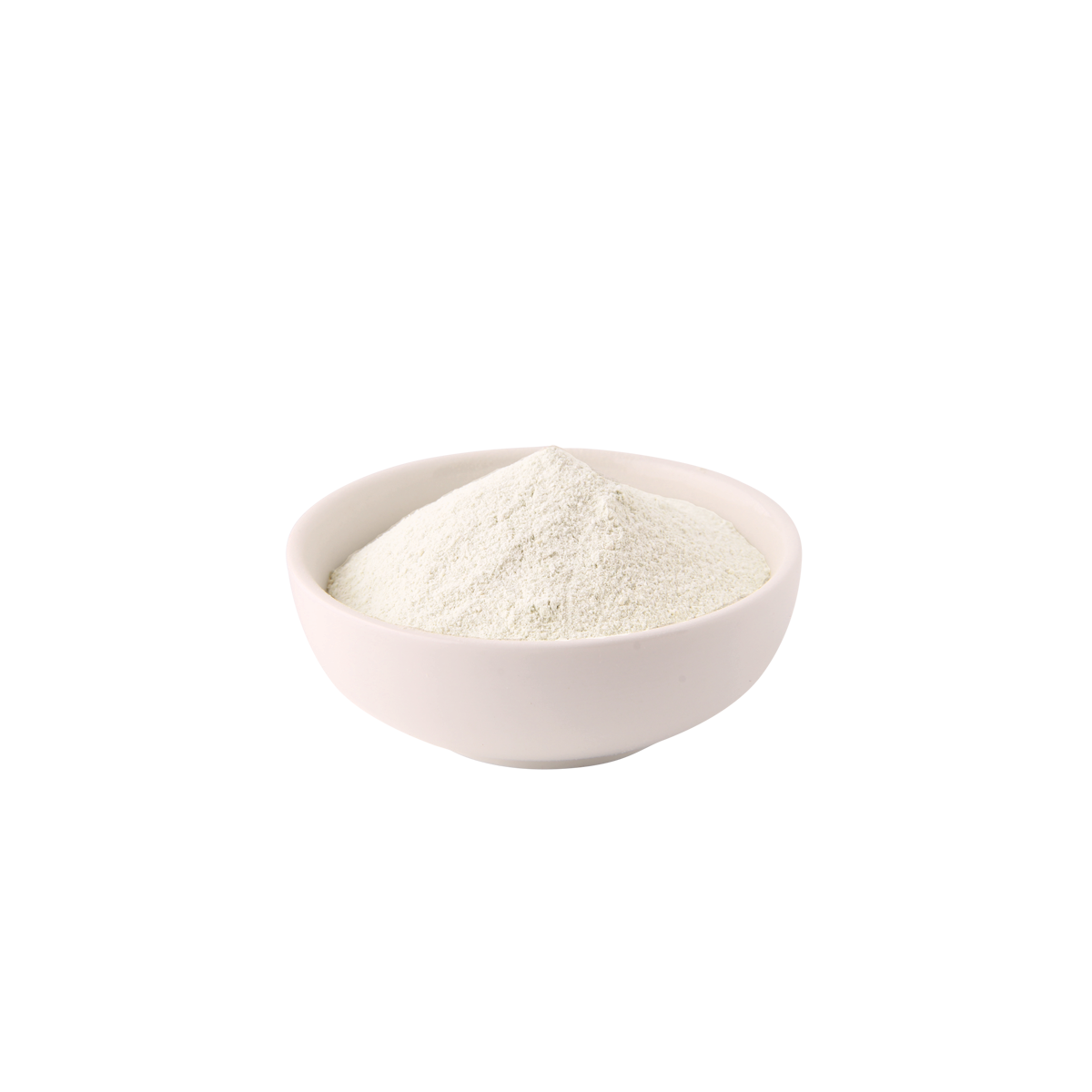 Hygain Regain – powder close-up