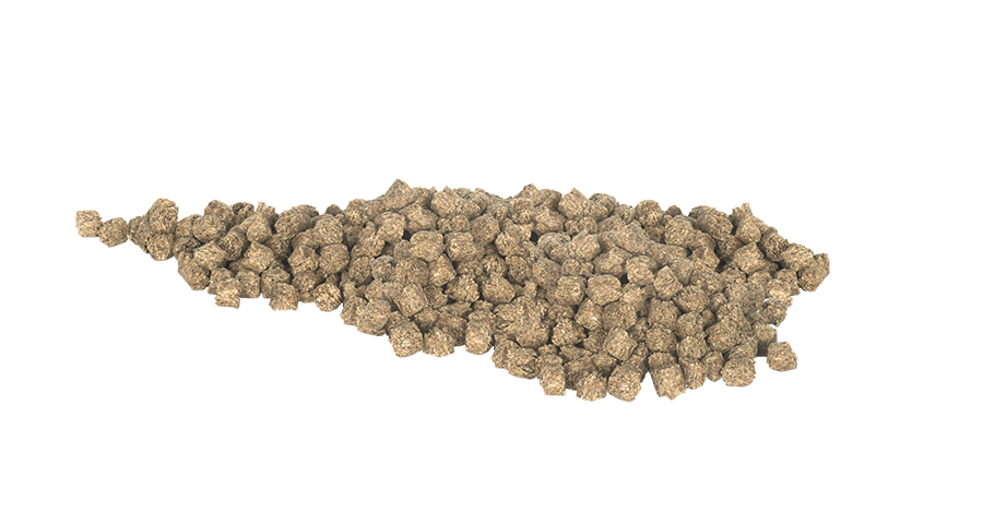Hygain Tru Beet 20kg – nugget close-up
